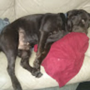 Meet your Posher, Renee